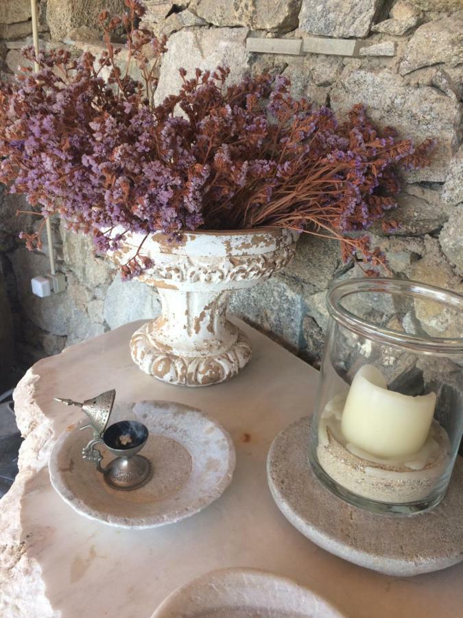 אורנוס Beachfront Mykonos Guest House מראה חיצוני תמונה